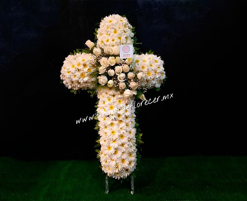 Cruz Eterna